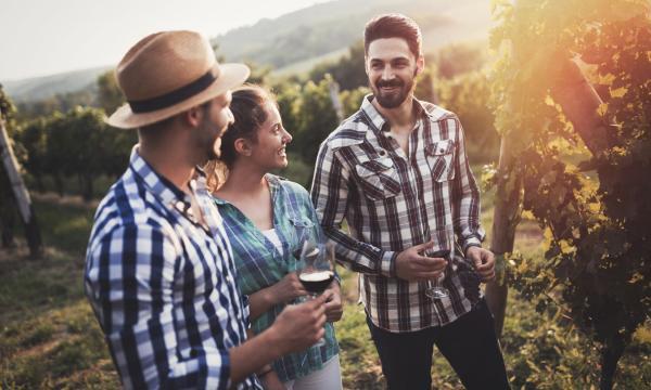 People sampling and tasting wines in winegrowers  vineyard